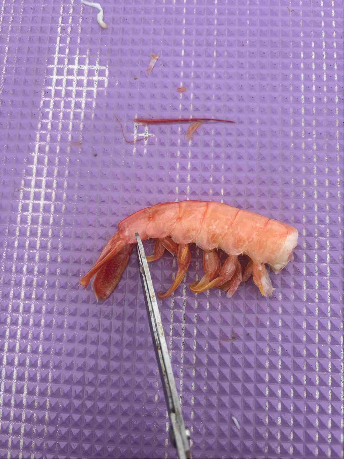 A63E6C32-A586-4504-9F56-CD7EA0E935A8