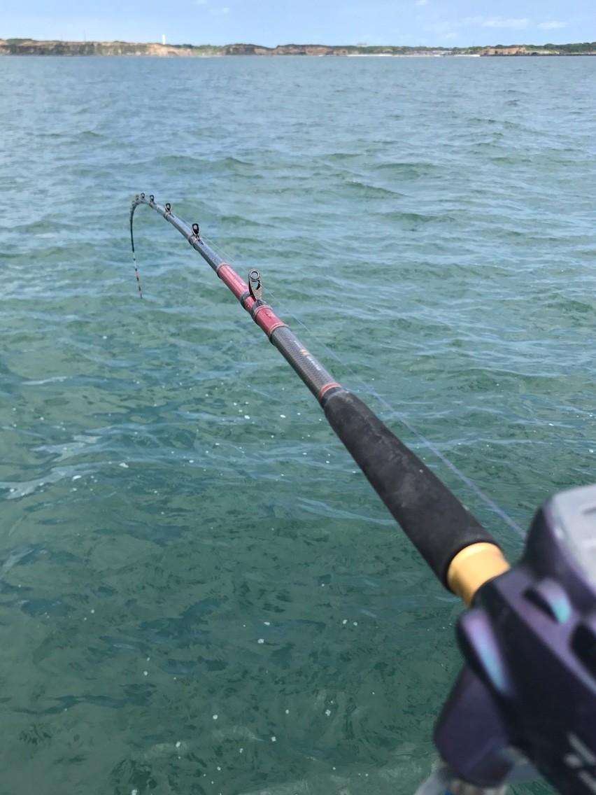 極鋭GEAR Fスペック　270 極鋭GEAR Fスペック 270 【公式通販】