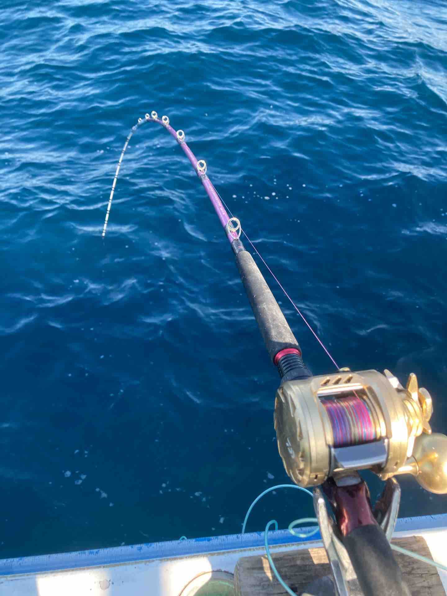 ２０２１乗っ込みコマセマダイのオススメアイテム 今週のみや