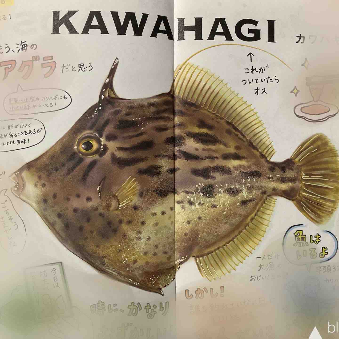 お魚イラストレシピ大百科 今週のみや お魚イラストレシピ大百科 今週のみや