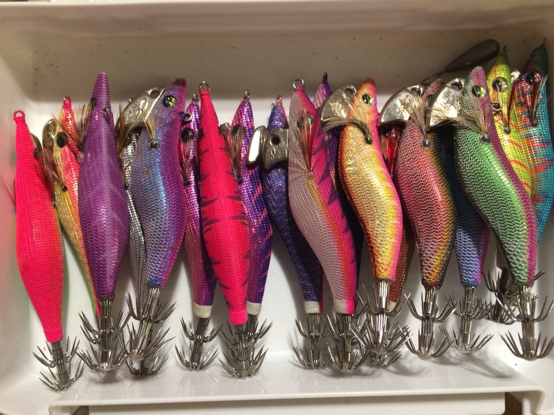 エギのケース！！これ凄いコンパクト！！ : 今週のみや