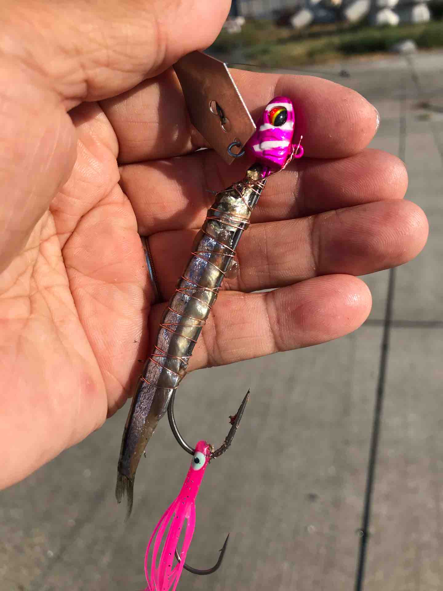 飛ぶ 刺さるから釣れる の三拍子揃った 快適波止タチウオテンヤチャター Tg 今週のみや 飛ぶ 刺さるから釣れる の三拍子揃った 快適波止タチウオテンヤチャター Tg 今週のみや