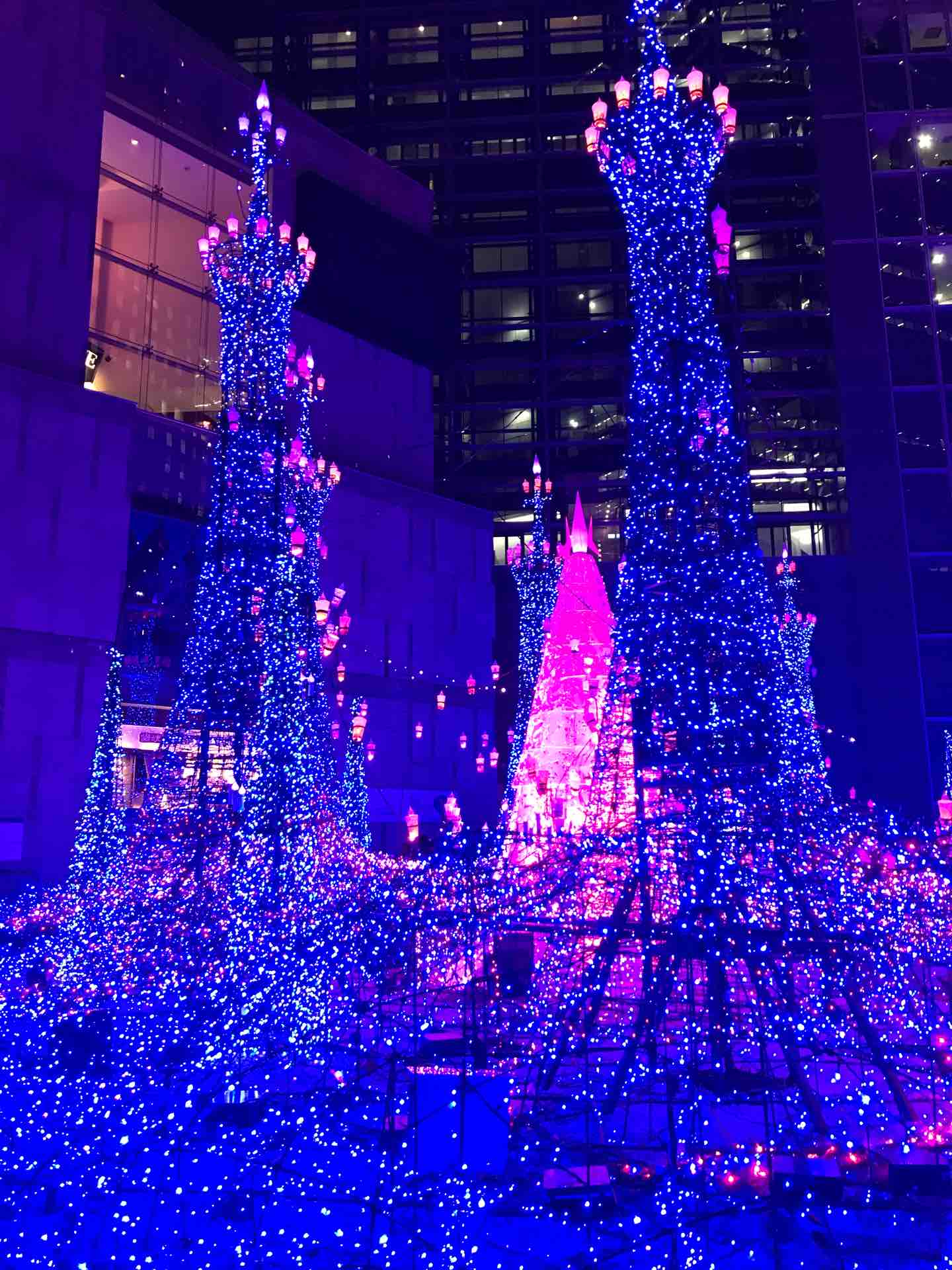 クリスマスイブは家族でイルミネーション 今週のみや