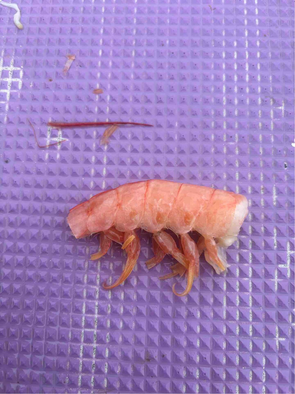 F984886A-4F6D-4977-956A-91FAF092CA6D