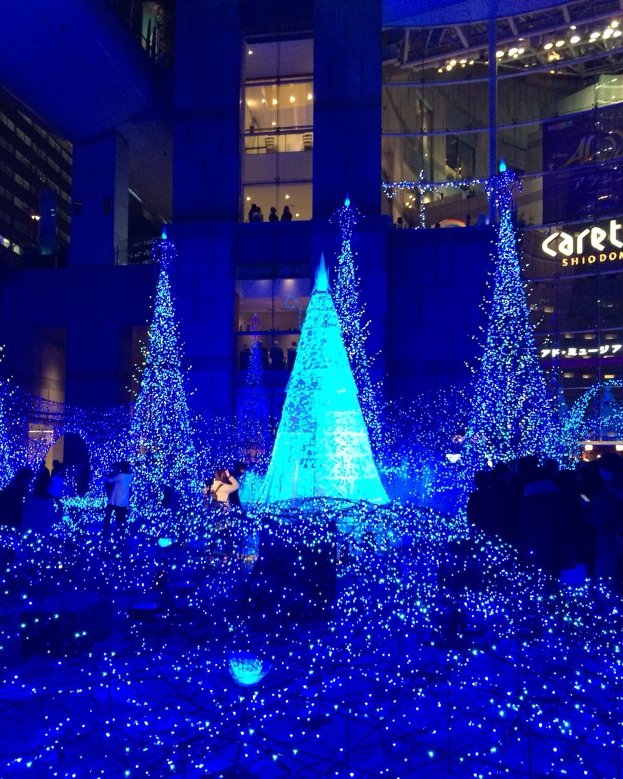 メリークリスマス イルミネーション 家族忘年会 今週のみや