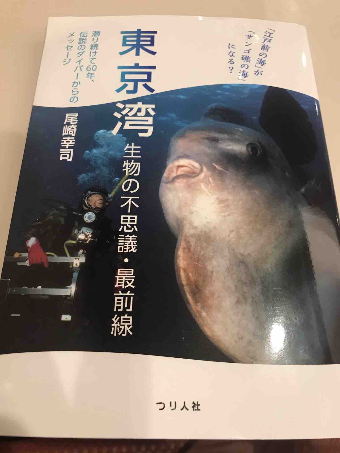 東京湾生物の不思議 最前線 今週のみや 東京湾生物の不思議 最前線 今週のみや