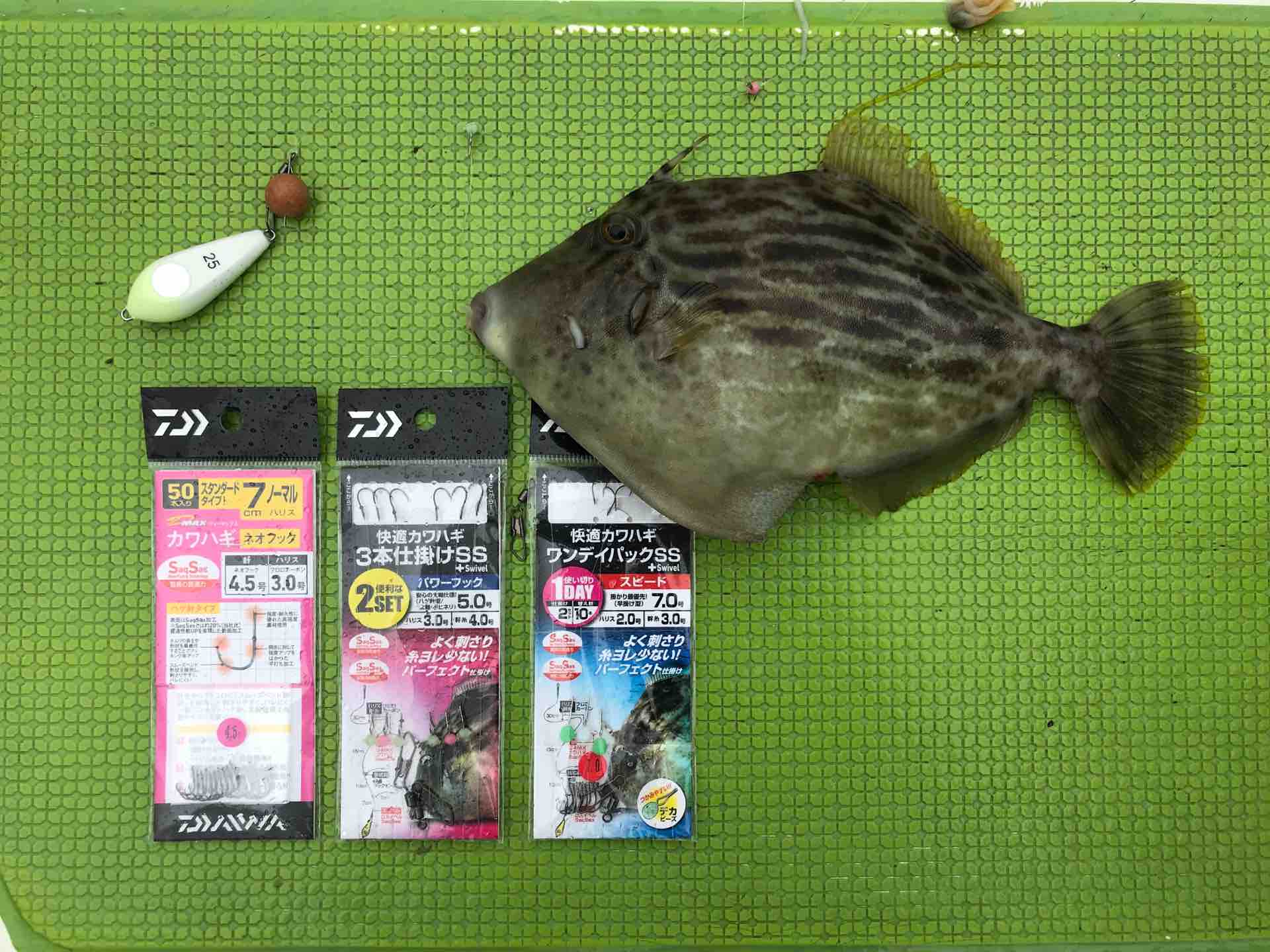 快適カワハギワンデイパックSS+S】 : 今週のみや