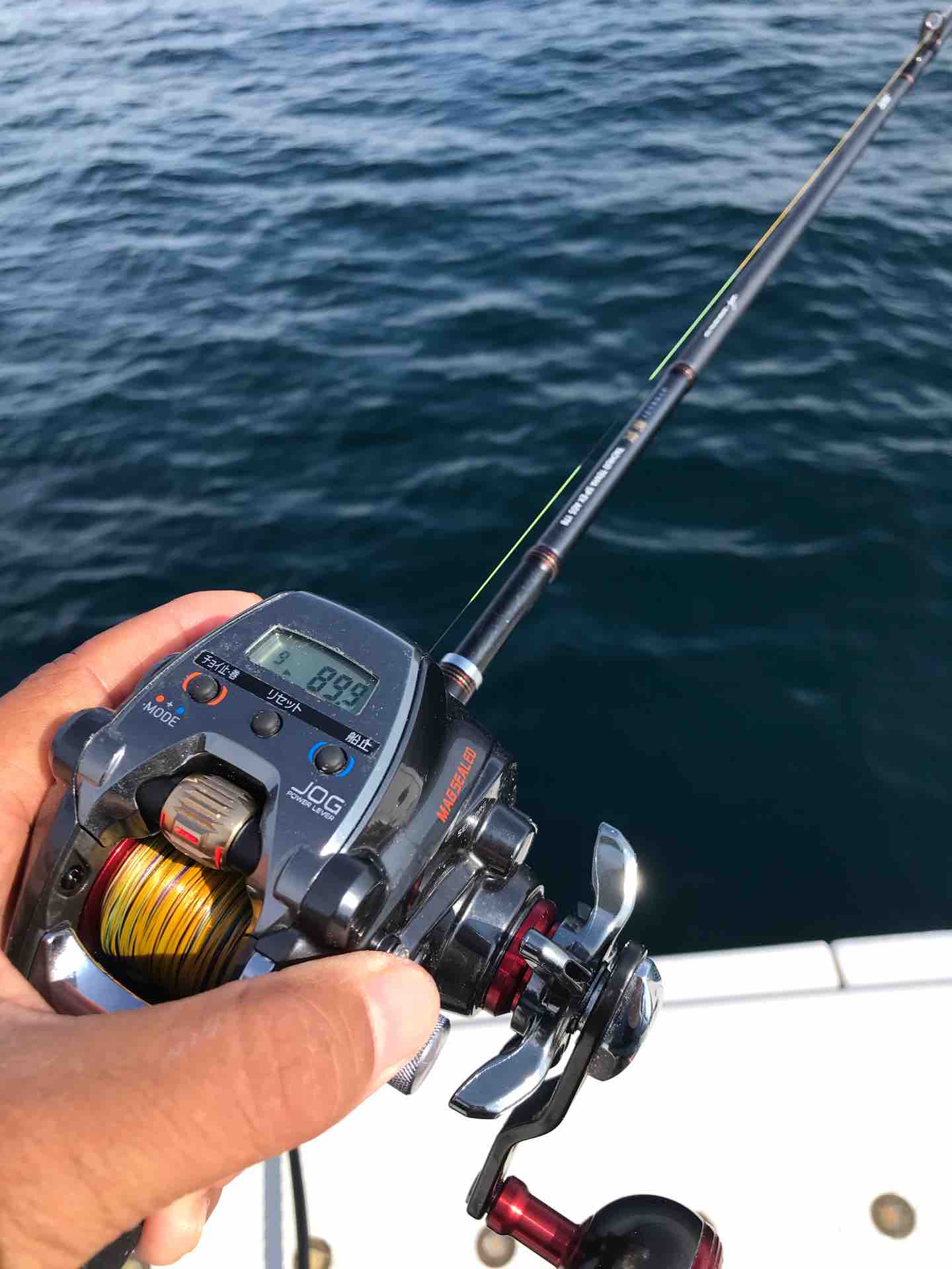 まだまだ終われない大阪湾テンヤタチウオシーズン 宮澤幸則 まだまだ終われない大阪湾テンヤタチウオシーズン 宮澤幸則