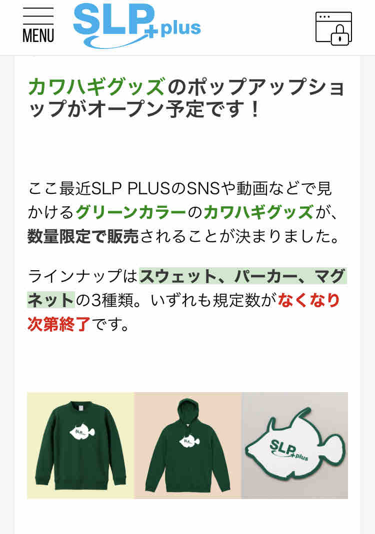 DAIWA ショップ SLP+plus カワハギ グリーン スウェット ポップアップ