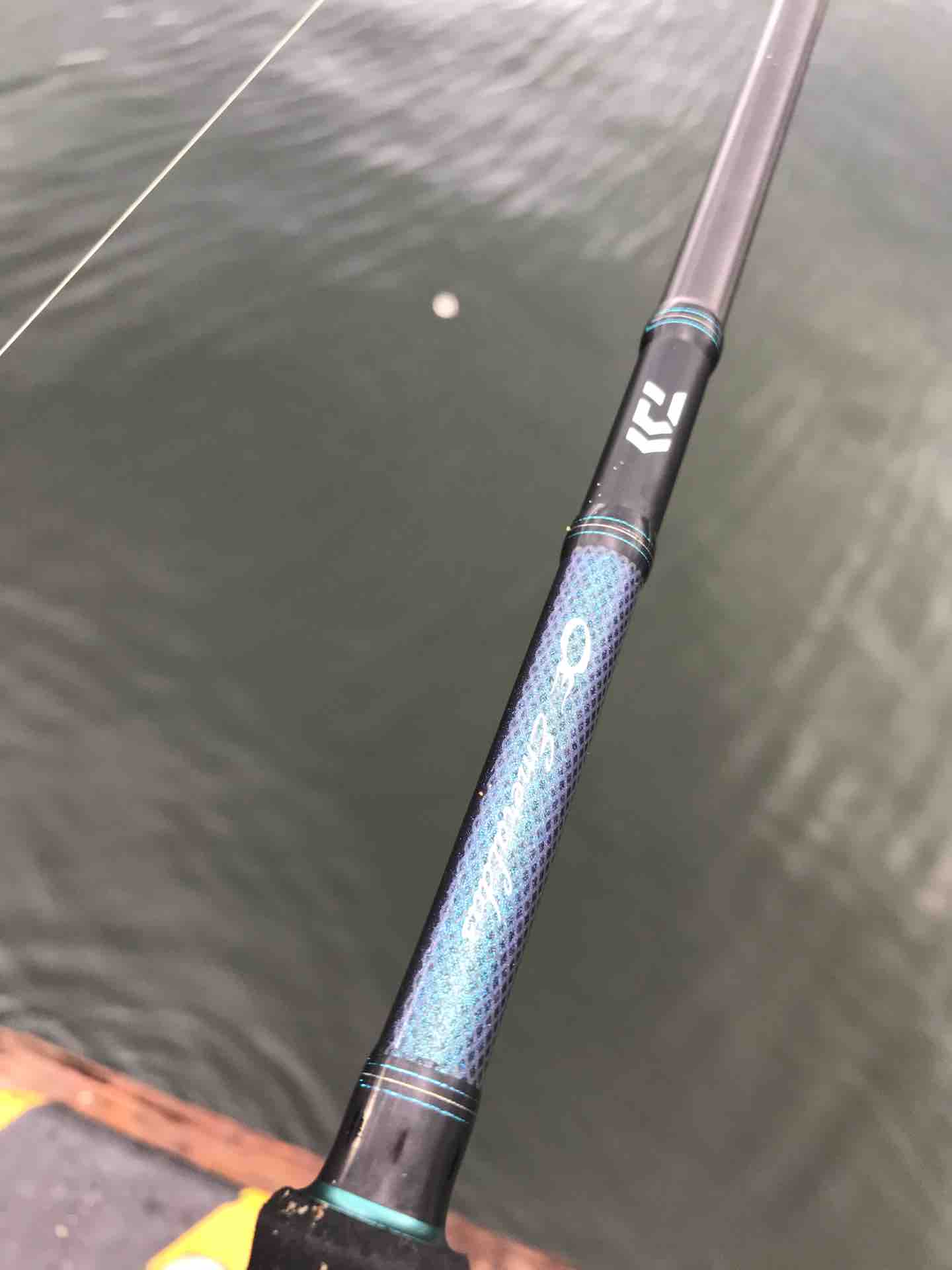 関西人のハートを掴んで止まない 波止釣りの超人気のターゲット 今週のみや