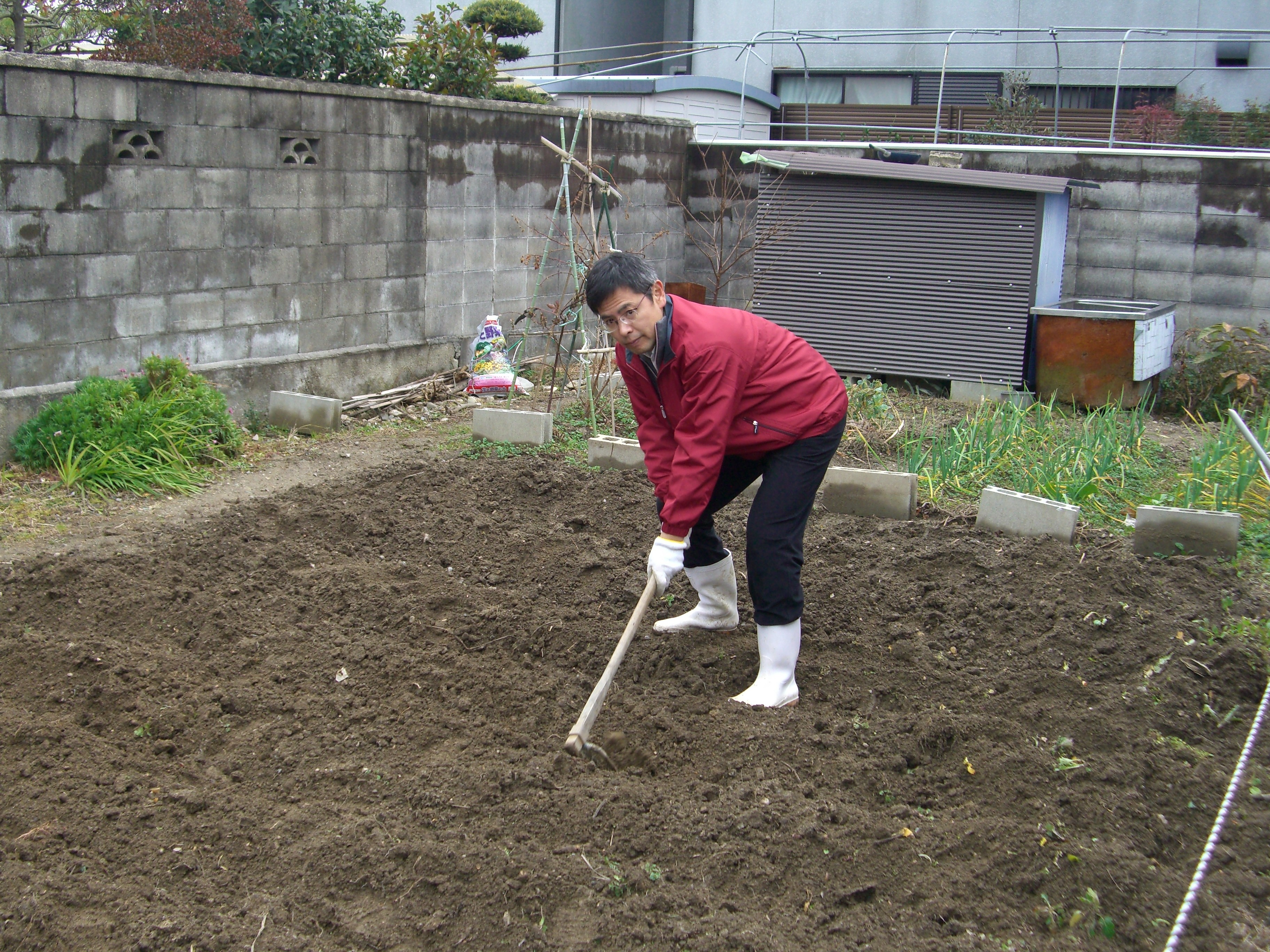 大寒過ぎに 畑を耕す だいやブログ