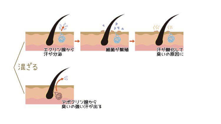 ワキガは脱毛で対策できる 脱毛と臭いの関係を紹介 メンズ脱毛百科事典 リンクスペディア