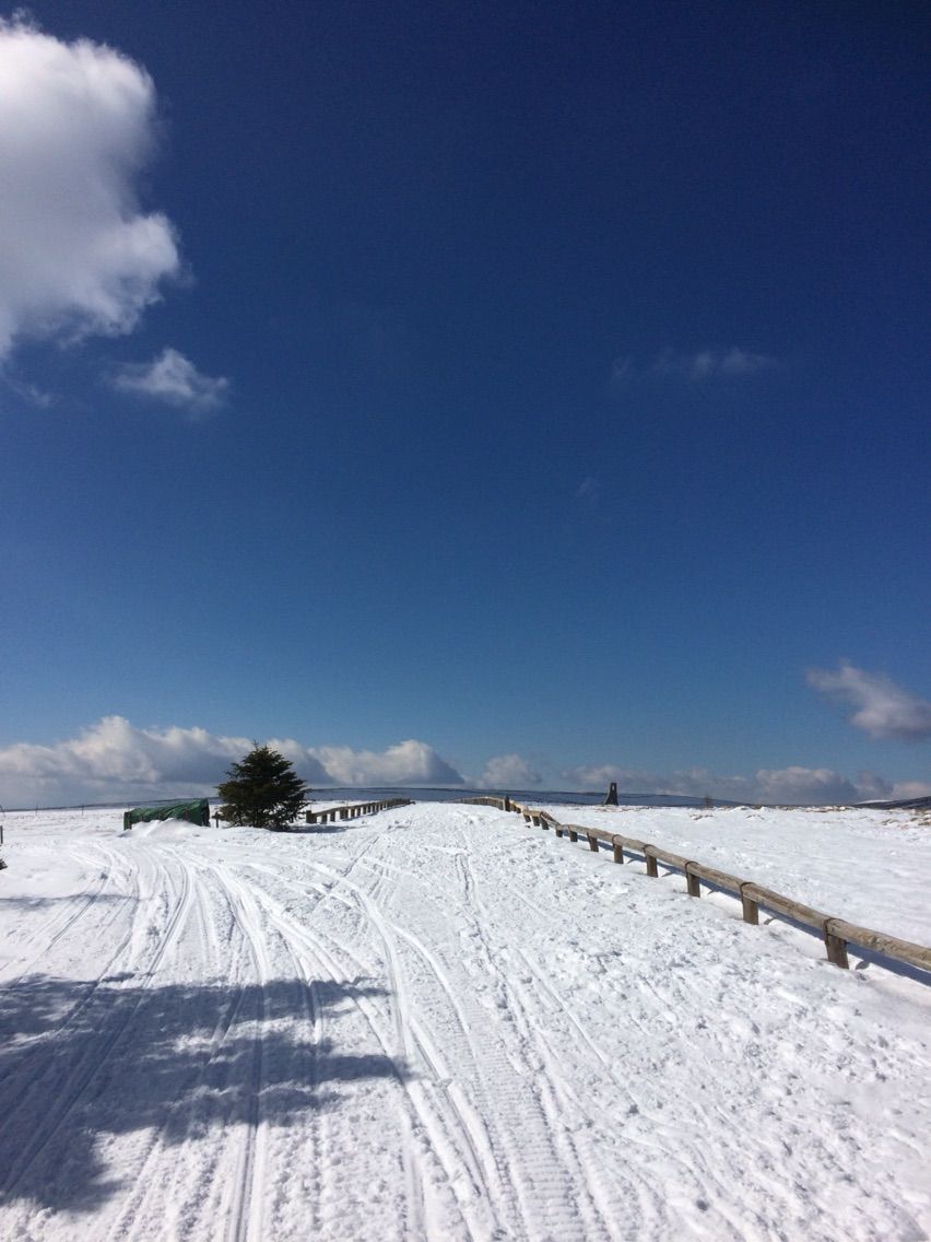 雪はちょっと少なめですけど 冬の美ヶ原 Over The Mountain