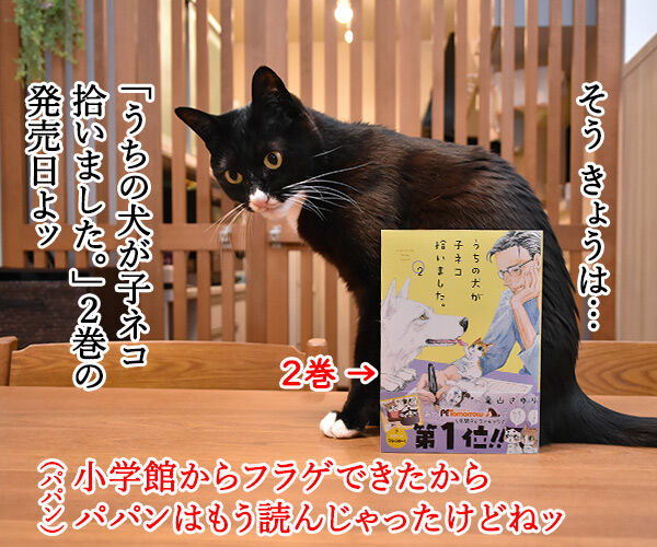きょうは うちの犬が子ネコ拾いました 第2巻の発売日なのよッ あずきさんとだいずさん Powered By ライブドアブログ