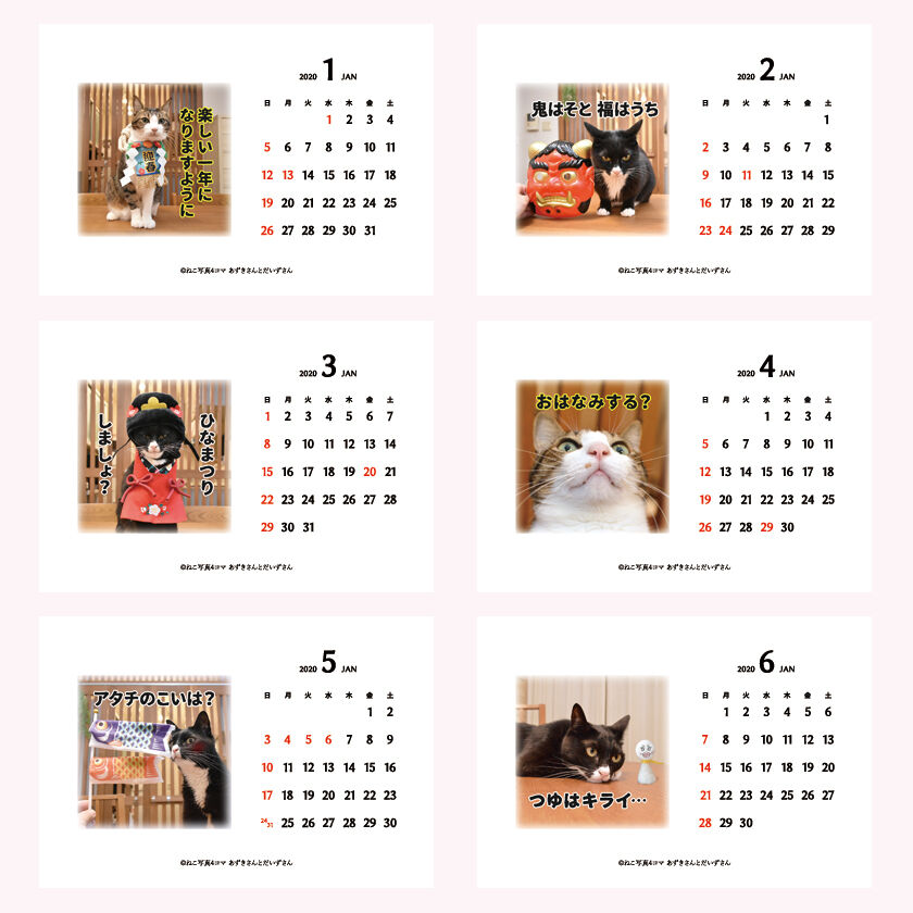 あずだいカレンダー 販売開始デースッ 猫の写真で4コマ漫画 5コマ目ッ