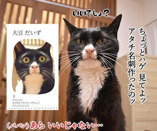 『ニャにもん』で猫の名刺データが作れるのよッ 猫の写真で4コマ漫画 1コマ目ッ