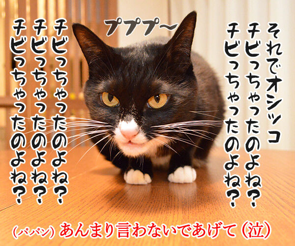 動物病院といえば想い出す 猫の写真で4コマ漫画 3コマ目ッ