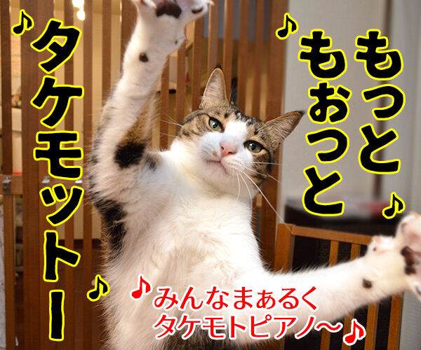 もっと もっと あずきさんとだいずさん