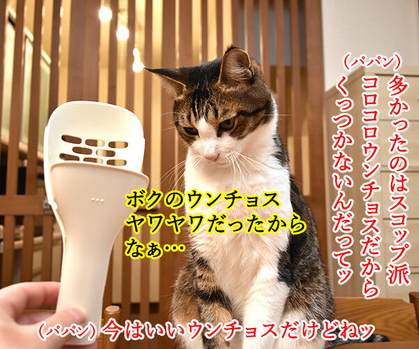 ウンチョスの片づけ方にたくさんコメントいただいたのッ 猫の写真で4コマ漫画 2コマ目ッ