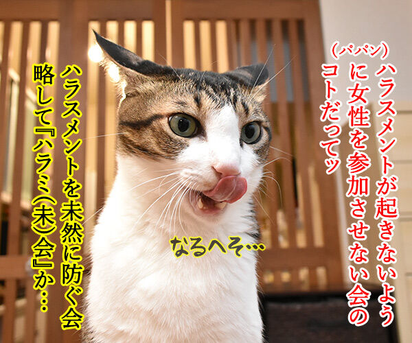 ハラミ会って美味しいのー? 猫の写真で4コマ漫画 2コマ目ッ