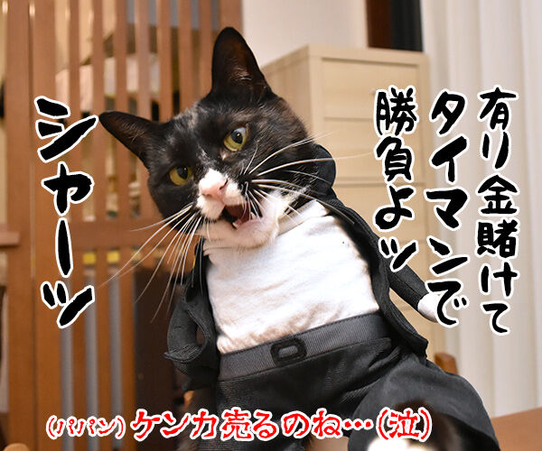 『ニャにもん』で猫の名刺データが作れるのよッ 猫の写真で4コマ漫画 4コマ目ッ