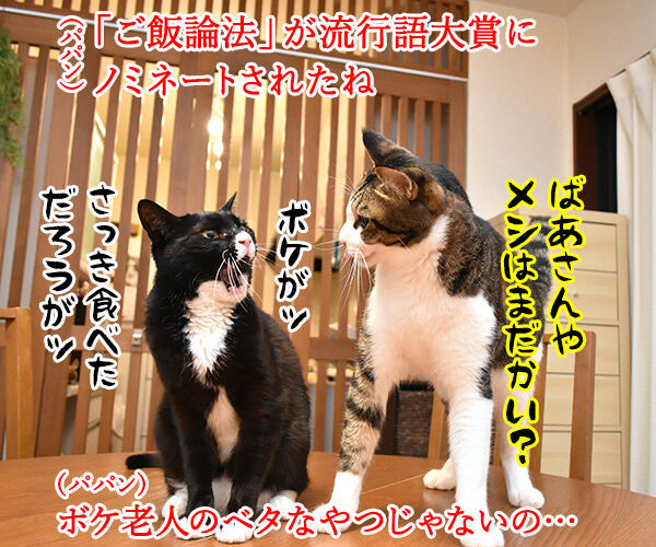 流行語大賞 ノミネート語 『ご飯論法』 猫の写真で4コマ漫画 1コマ目ッ