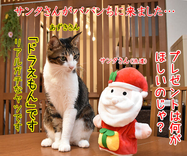 サンタがパパンちにやってきたッ あずきさんとだいずさん Powered By ライブドアブログ