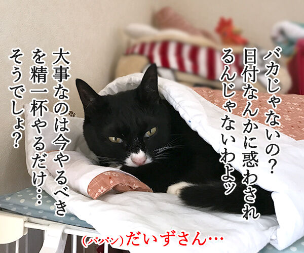 今日で6月も終わり 今年も半分終わっちゃう あずきさんとだいずさん