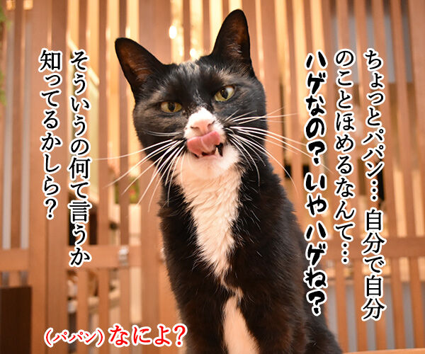 プレゼント企画にたくさんの応募をいただいたのよッ 猫の写真で4コマ漫画 3コマ目ッ