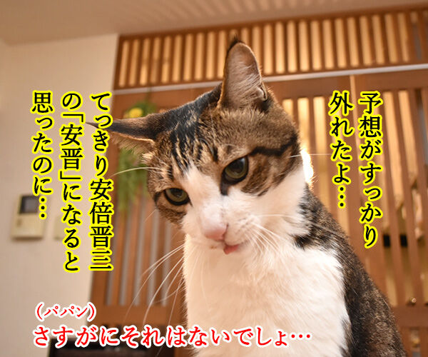 新元号は信玄GOなの? 猫の写真で4コマ漫画 2コマ目ッ