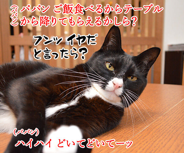 イライラ解消は爪とぎよねッ 猫の写真で4コマ漫画 1コマ目ッ