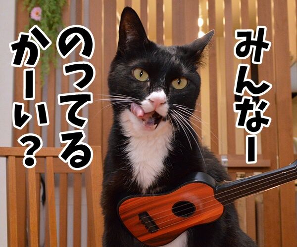 みんなー のってるかーい? 猫の写真で4コマ漫画 1コマ目ッ