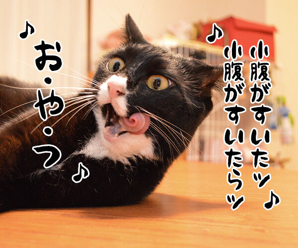 ♪お・や・つ♪　猫の写真で４コマ漫画　１コマ目ッ