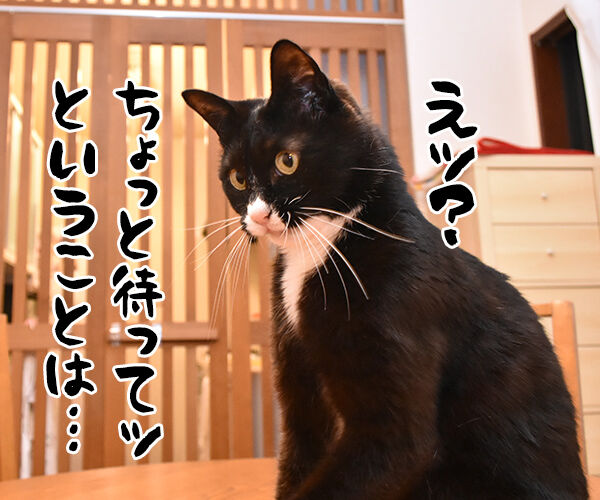 『ねこのきもち』にこんな記事が…　猫の写真で４コマ漫画　３コマ目ッ