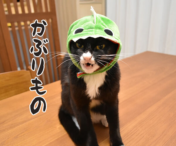 今までにした かぶりもの を集めてみたよッ あずきさんとだいずさん Powered By ライブドアブログ