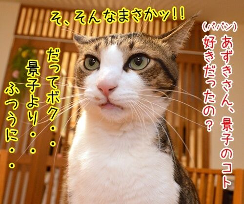 DAIGOさん、北川景子さんが結婚したね 猫の写真で4コマ漫画 3コマ目ッ