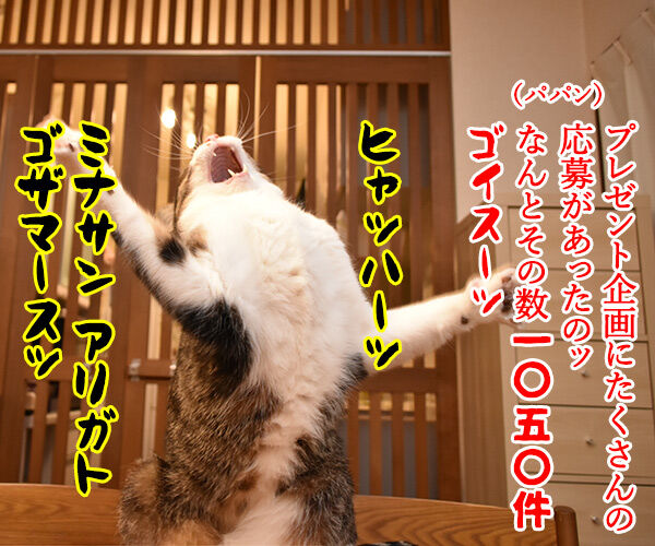 プレゼント企画にたくさんの応募をいただいたのよッ 猫の写真で4コマ漫画 1コマ目ッ
