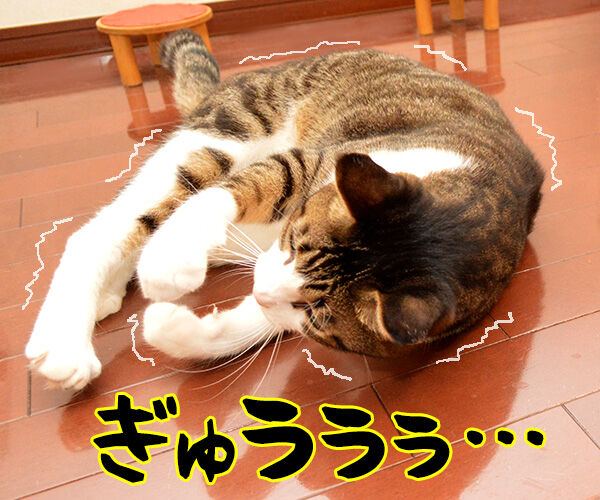 ジェスチャーゲーム あずきさんとだいずさん Powered By ライブドアブログ ジェスチャーゲーム あずきさんとだいずさん Powered By ライブドアブログ