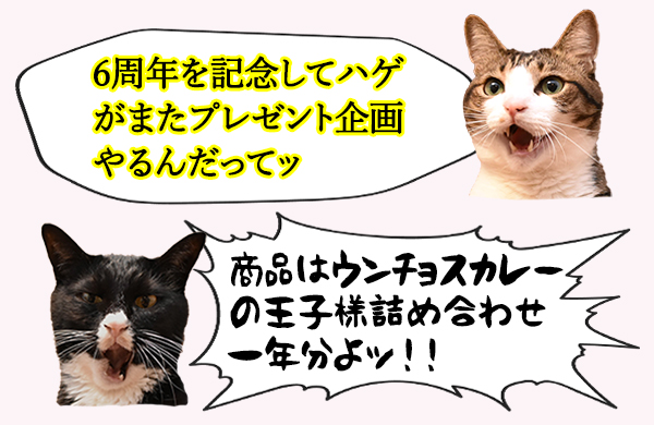 campaign-20191006
