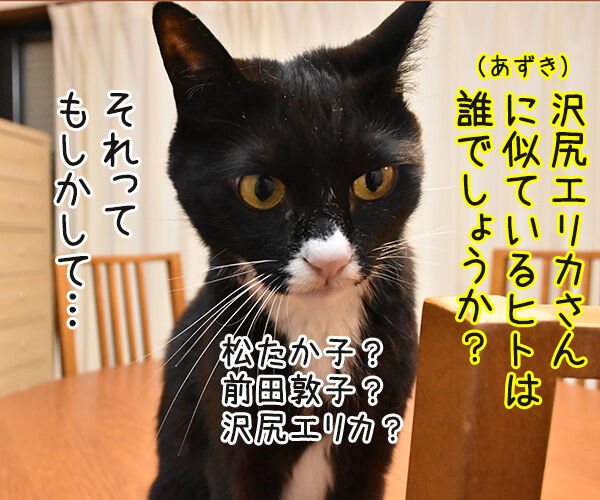 松たか子と前田敦子と沢尻エリカ 猫の写真で4コマ漫画 2コマ目ッ