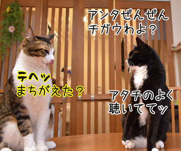 セキスイハイムのcmって知ってるかしら あずきさんとだいずさん Powered By ライブドアブログ セキスイハイムのcmって知ってるかしら あずきさんとだいずさん Powered By ライブドアブログ