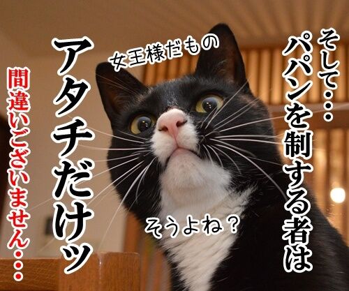 国語の授業 其の一 猫の写真で4コマ漫画 4コマ目ッ