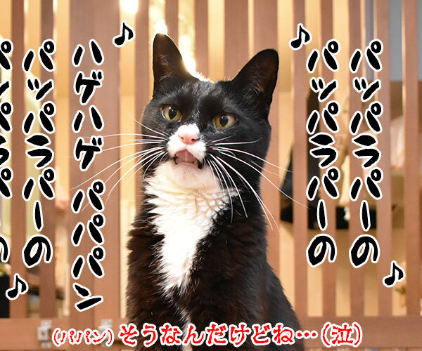4コマのネタが思いつかない時は唄うのよッ あずきさんとだいずさん