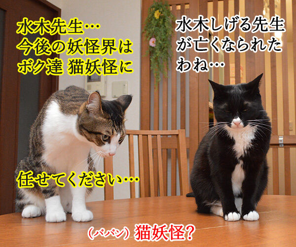 水木しげる先生のご冥福をお祈りして あずきさんとだいずさん