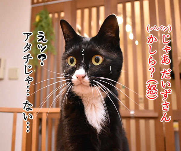 床に干からびたウンチョスが落ちていた 猫の写真で4コマ漫画 2コマ目ッ