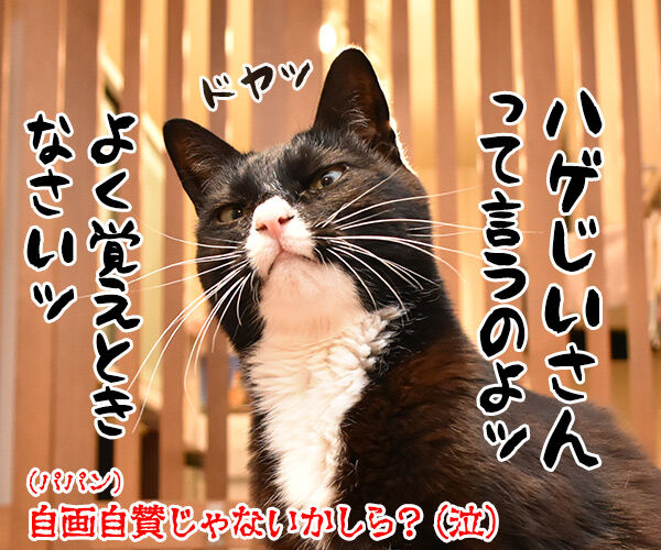プレゼント企画にたくさんの応募をいただいたのよッ 猫の写真で4コマ漫画 4コマ目ッ