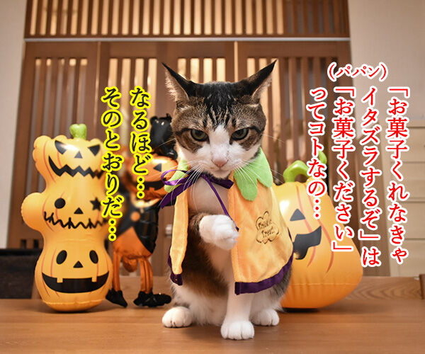 ハロウィン お菓子くれなきゃイタズラしちゃうぞッ あずき編 あずきさんとだいずさん Powered By ライブドアブログ