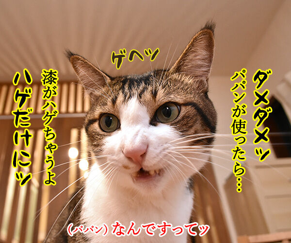 うるしの日だから漆のハナシ　猫の写真で４コマ漫画　２コマ目ッ