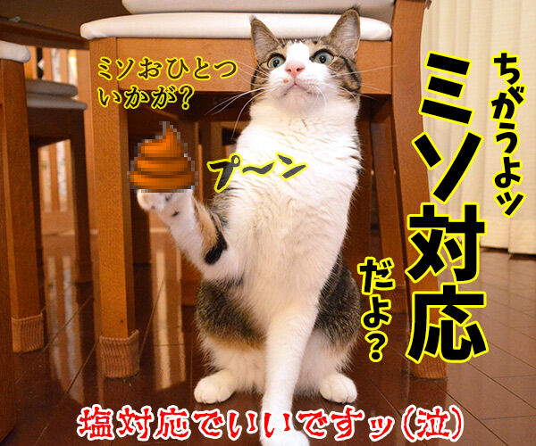 塩対応と神対応 あずきさんとだいずさん Powered By ライブドアブログ 塩対応と神対応 あずきさんとだいずさん Powered By ライブドアブログ