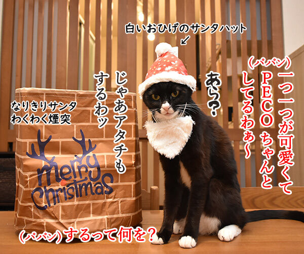 PECOBOXの12月号はクリスマス特別号なのッ　猫の写真で４コマ漫画　４コマ目ッ